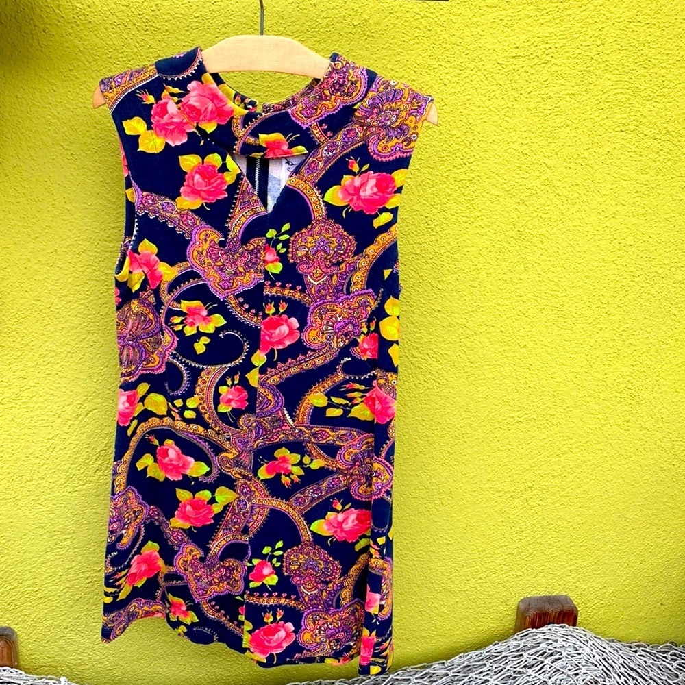 Rare vintage FP shift dress!